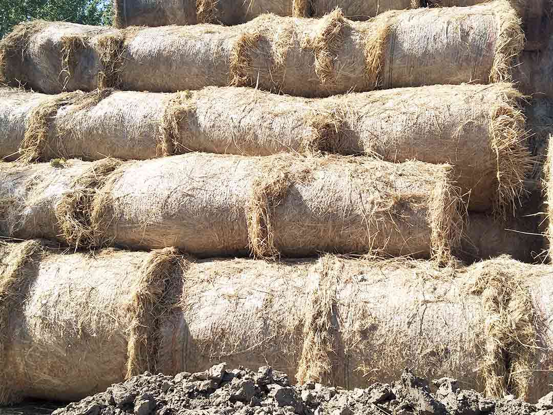 生物質(zhì)撕碎機